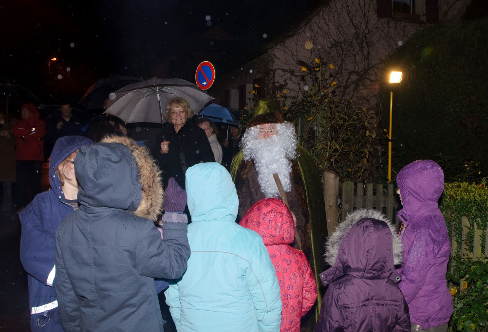 PelzermSchuepfla_20101112_30_isa