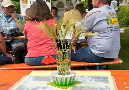 SommerfestVFFB_20160611_125_SabineIsmaier