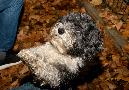 11EMT_20161104_50_SabineIsmaier