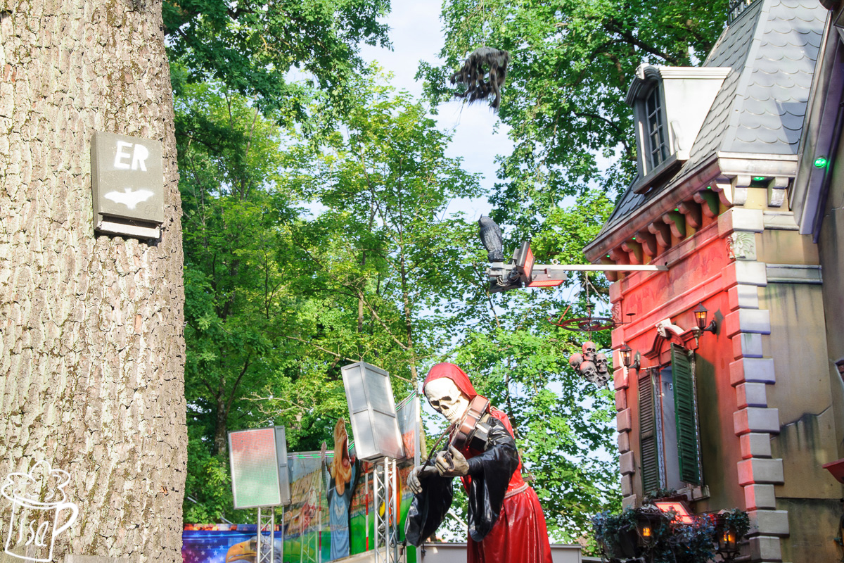 ER-Fledermäuse treffen aufs Geisterhaus. 