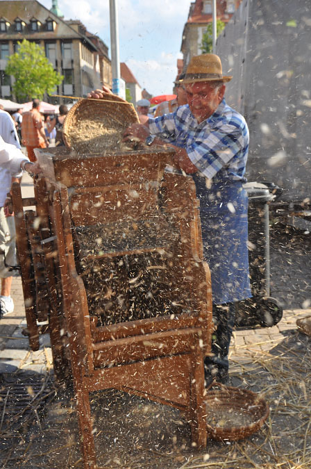 18_Marktplatzfest_20100822_63_isa