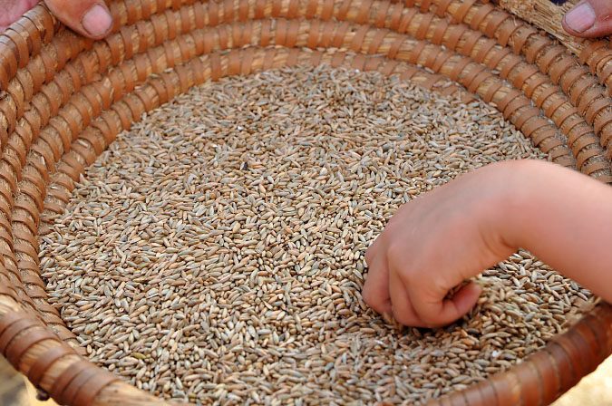 20_Marktplatzfest_20100822_67_isa